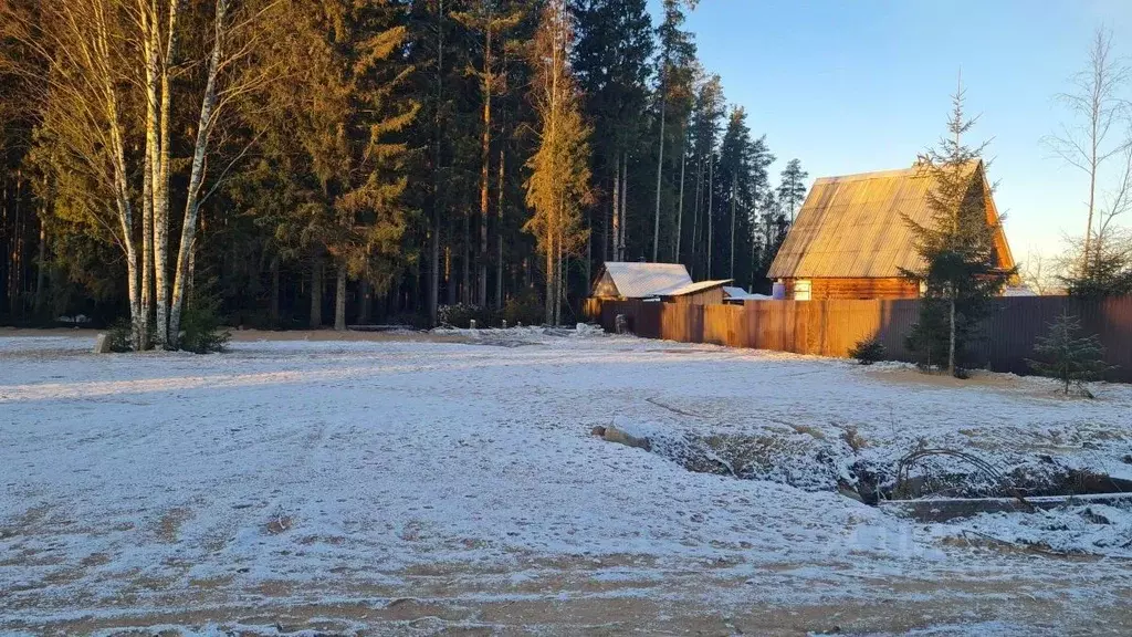 Участок в Ленинградская область, Выборгский район, Рощинское городское ... - Фото 1