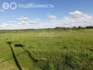 Участок в Пермский край, Осинский муниципальный округ, деревня ... - Фото 1