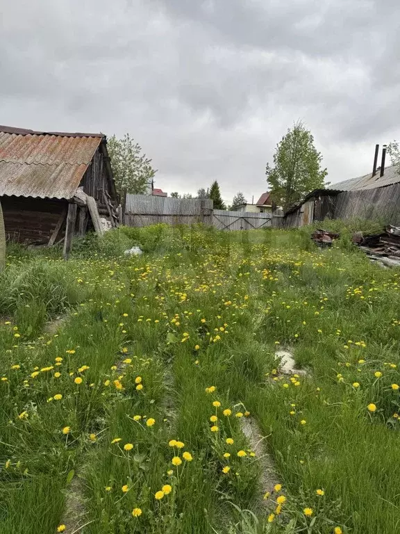 Дом 34,8 м на участке 18 сот. - Фото 0