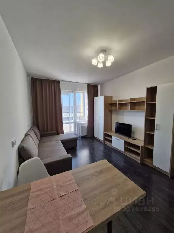 Студия Санкт-Петербург просп. Ветеранов, 183 (24.1 м) - Фото 1