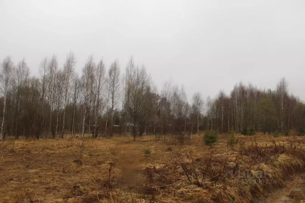 Участок в Московская область, Шаховская муниципальный округ, д. ... - Фото 1