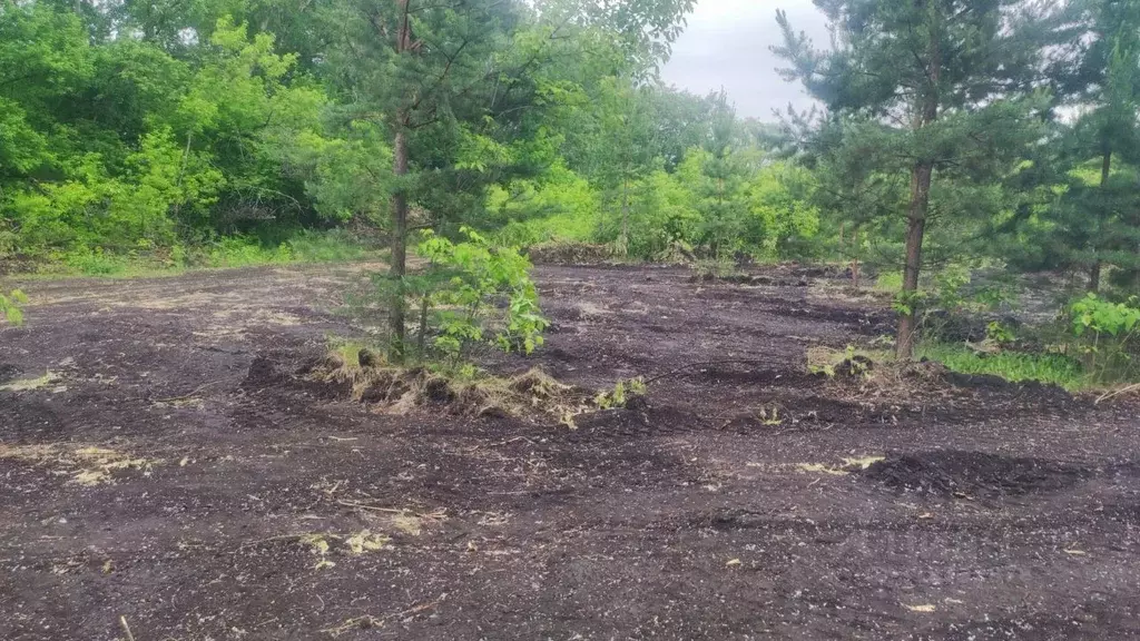 Участок в Челябинская область, Сосновский район, пос. Солнечный  (6.25 ... - Фото 1