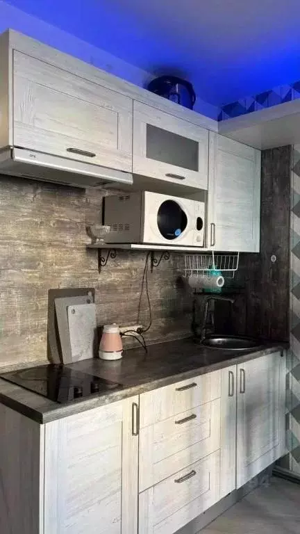 1-к кв. Пензенская область, Пензенский район, Засечный сельсовет, с. ... - Фото 2