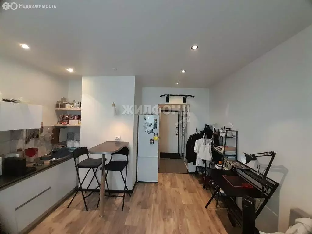 Квартира-студия: Новосибирск, улица Кирова, 225 (24 м) - Фото 1