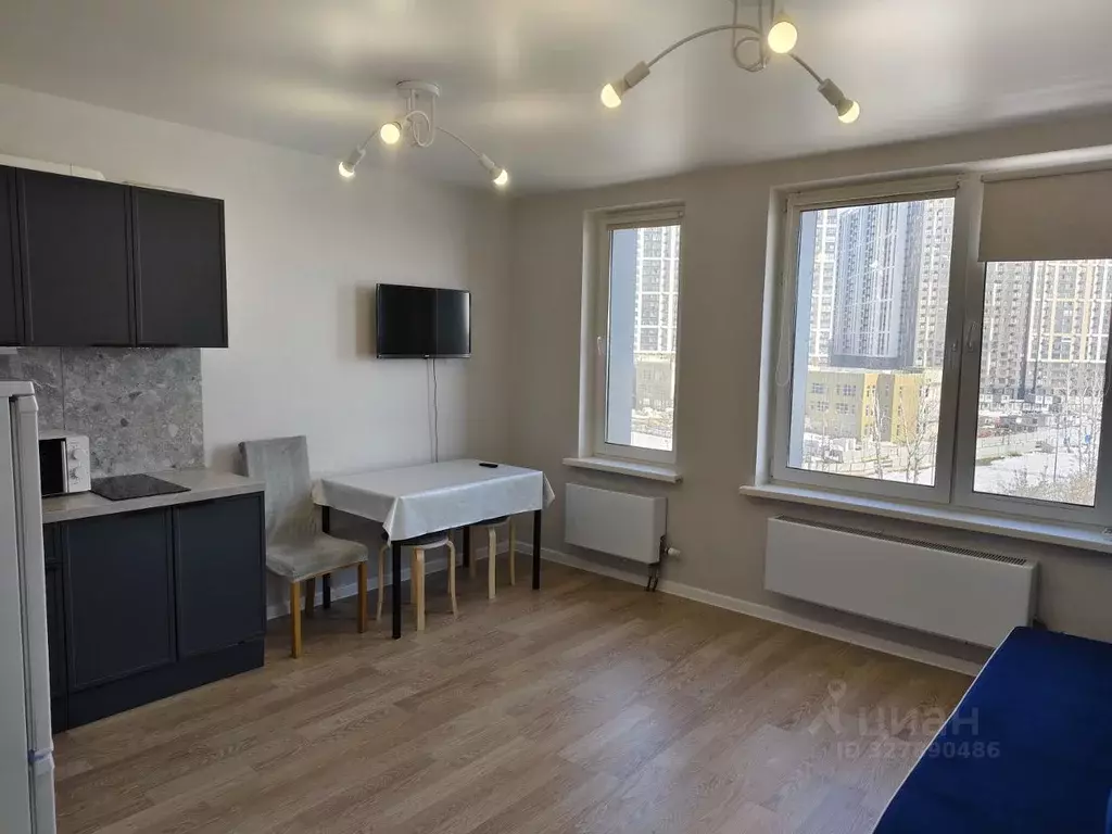 Студия Московская область, Люберцы ул. Солнечная, 6 (26.7 м) - Фото 2