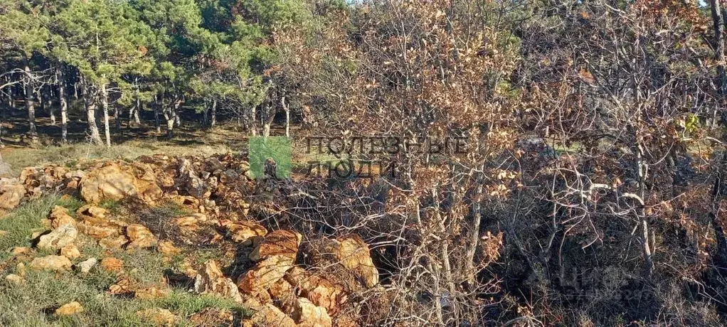 Участок в Севастополь Скалистый-89 СНТ,  (4.02 сот.) - Фото 2