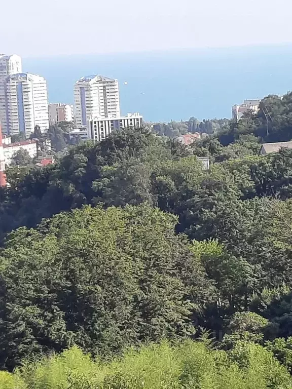 2-к кв. Краснодарский край, Сочи Пятигорская ул., 90А (40.0 м) - Фото 1