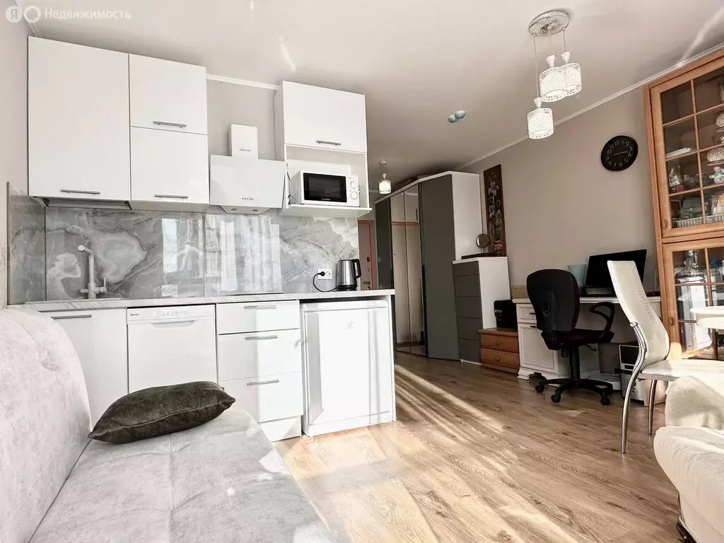 Квартира-студия: посёлок Парголово, Толубеевский проезд, 8к2 (26 м) - Фото 2