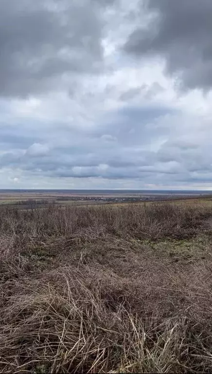 Участок в Владимирская область, Гороховец ул. Калинина, 37 (16.2 сот.) - Фото 0