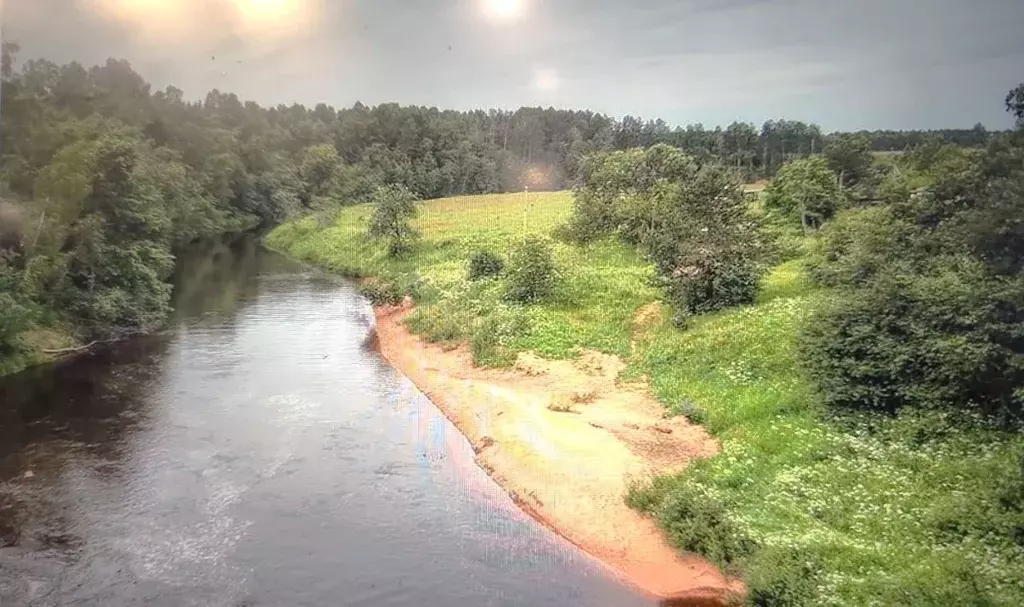 Участок в Ленинградская область, Лужский район, Толмачевское городское ... - Фото 1