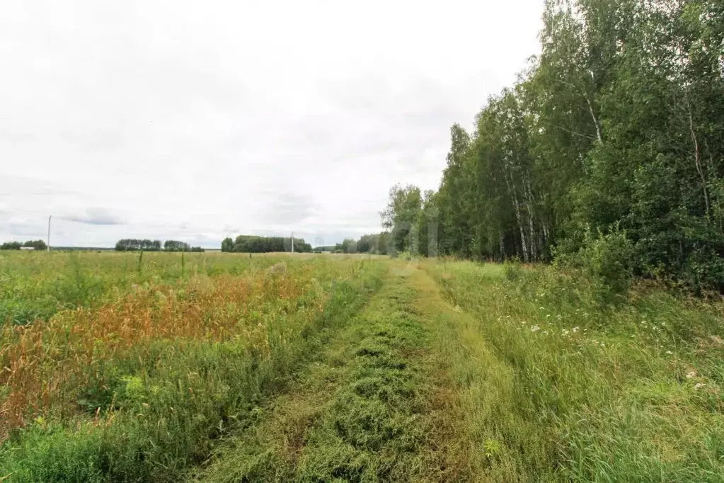 Участок в Тюменская область, Тюменский район, Онегин кп  (6.0 сот.) - Фото 0