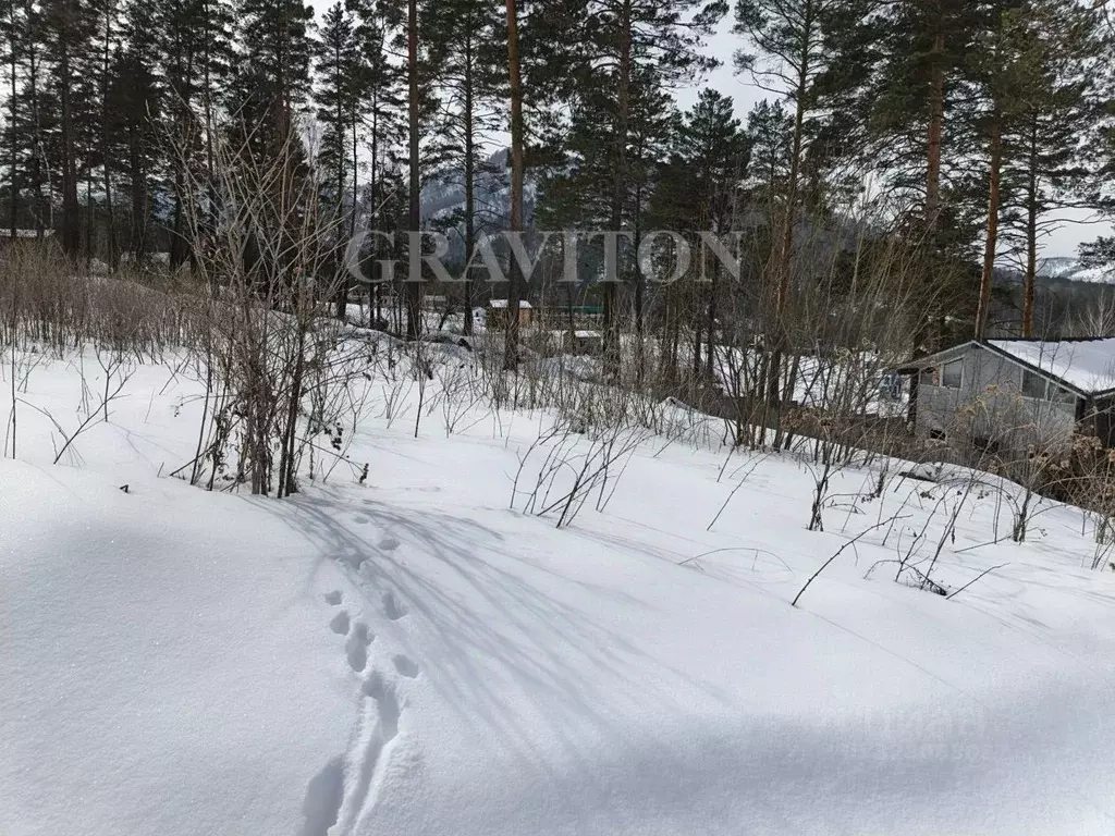 Участок в Алтай, Майминский район, Манжерокское с/пос, с. Озерное ул. ... - Фото 2