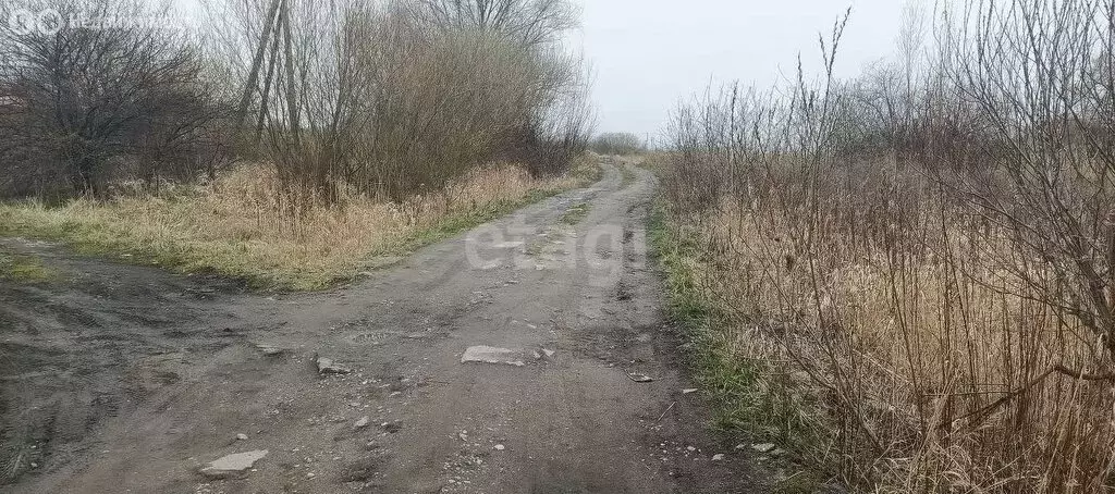 Участок в Калининградская область, Зеленоградский муниципальный округ, ... - Фото 0
