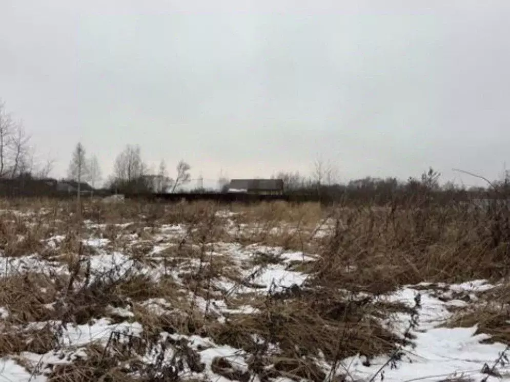 Участок в Московская область, Воскресенск городской округ, д. ... - Фото 2