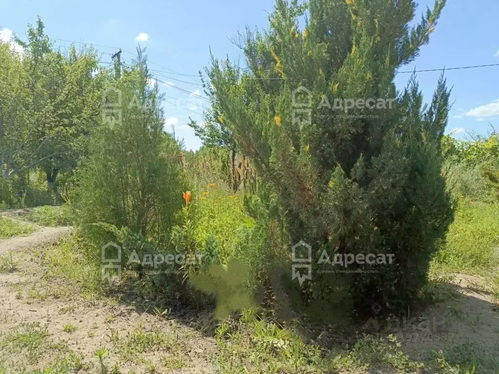 Участок в Волгоградская область, Среднеахтубинский район, ... - Фото 0