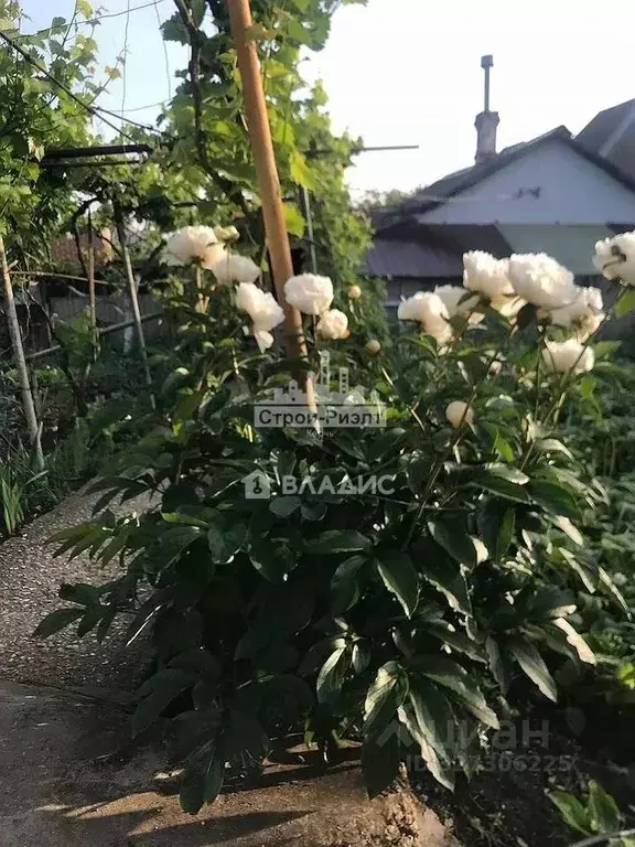 Дом в Крым, Керчь ул. Главная, 24 (71 м) - Фото 2