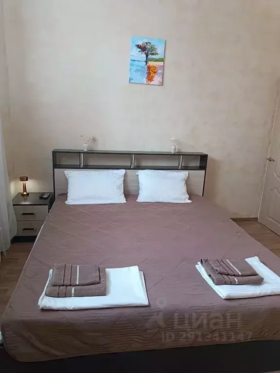 2-к кв. Татарстан, Казань ул. Аделя Кутуя, 86а (33.0 м) - Фото 1