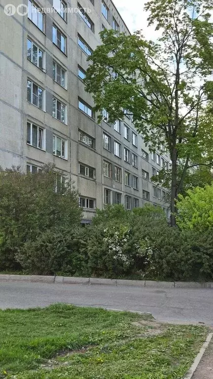 1-комнатная квартира: Санкт-Петербург, Белградская улица, 28к1 (30 м) - Фото 1