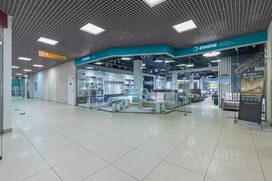 Торговая площадь в Ленинградская область, Сосновый Бор просп. Героев, ... - Фото 2