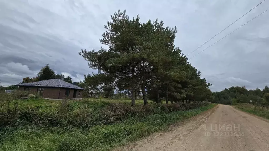 Участок в Смоленская область, Смоленский муниципальный округ, д. Сож  ... - Фото 1