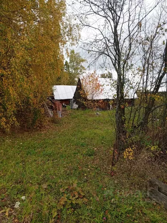 Участок в Пермский край, Пермский муниципальный округ, д. Березники ... - Фото 2