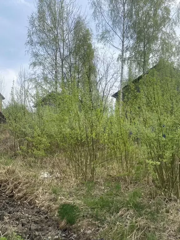 Участок 6,4 сот. (СНТ, ДНП) - Фото 0
