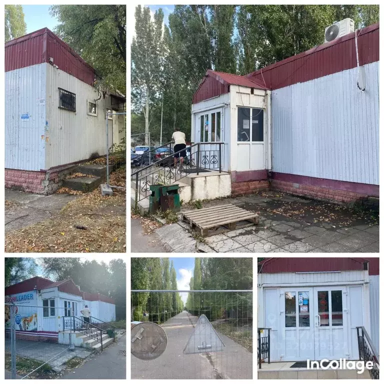 Торговая площадь в Самарская область, Тольятти 5-й кв-л, бул. ... - Фото 0