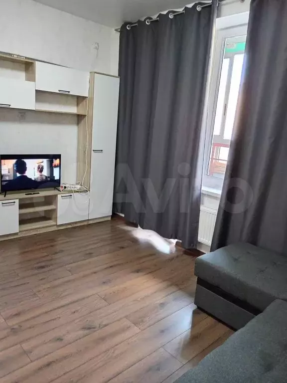 Квартира-студия, 19,3 м, 5/22 эт. - Фото 1
