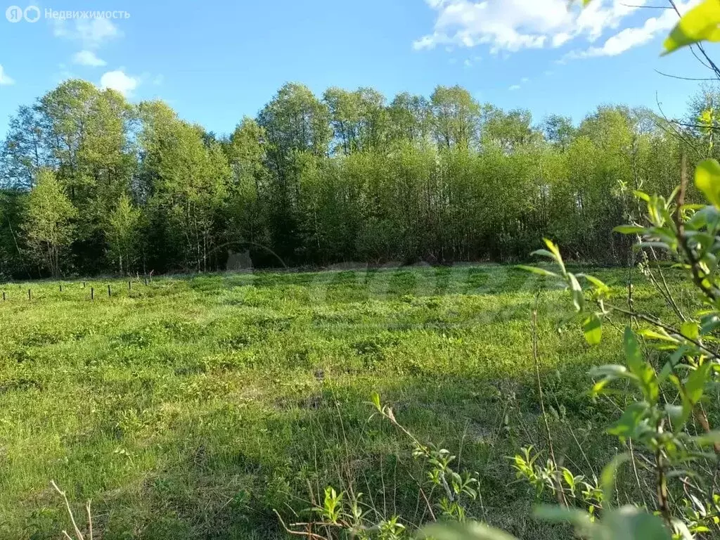 Участок в Тюменский район, деревня Головина (14.4 м) - Фото 0