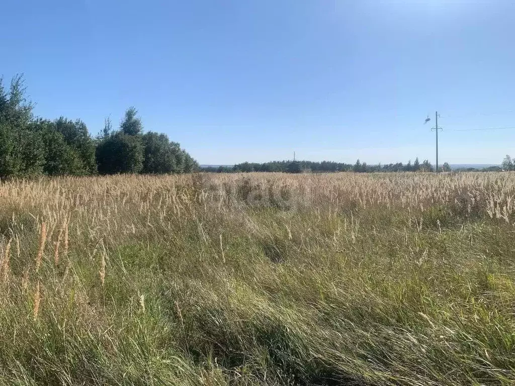 Участок в Курская область, Курский район, Моковский сельсовет, д. 1-я ... - Фото 1