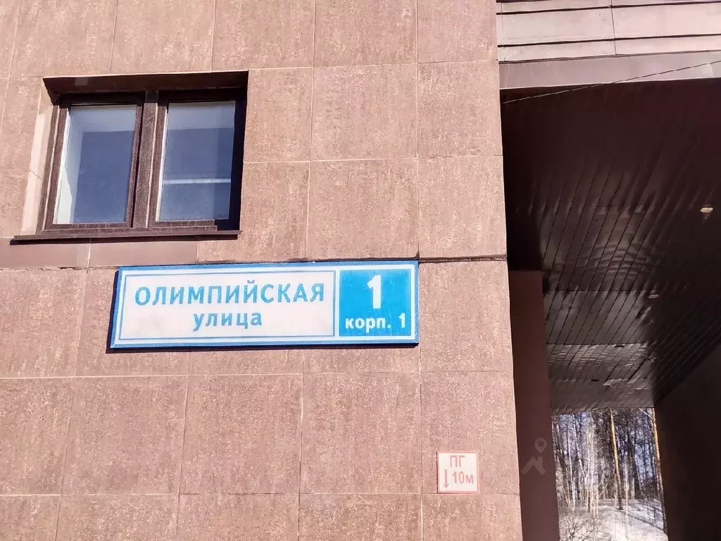 Студия Московская область, Видное ул. Олимпийская, 1к1 (37.0 м) - Фото 2