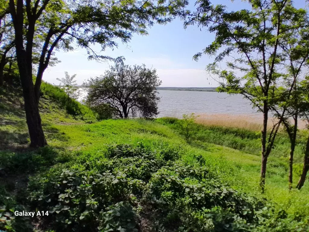 Участок в Ростовская область, Неклиновский район, Лакедемоновское ... - Фото 1