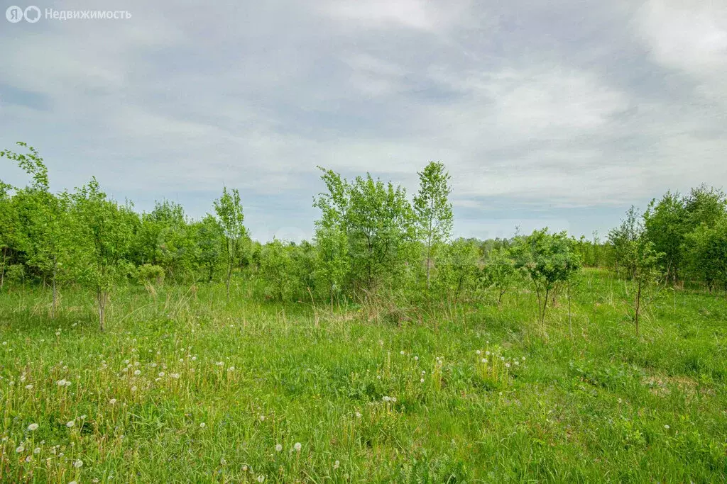 Участок в деревня Устье, Заречная улица, 4 (15 м) - Фото 1