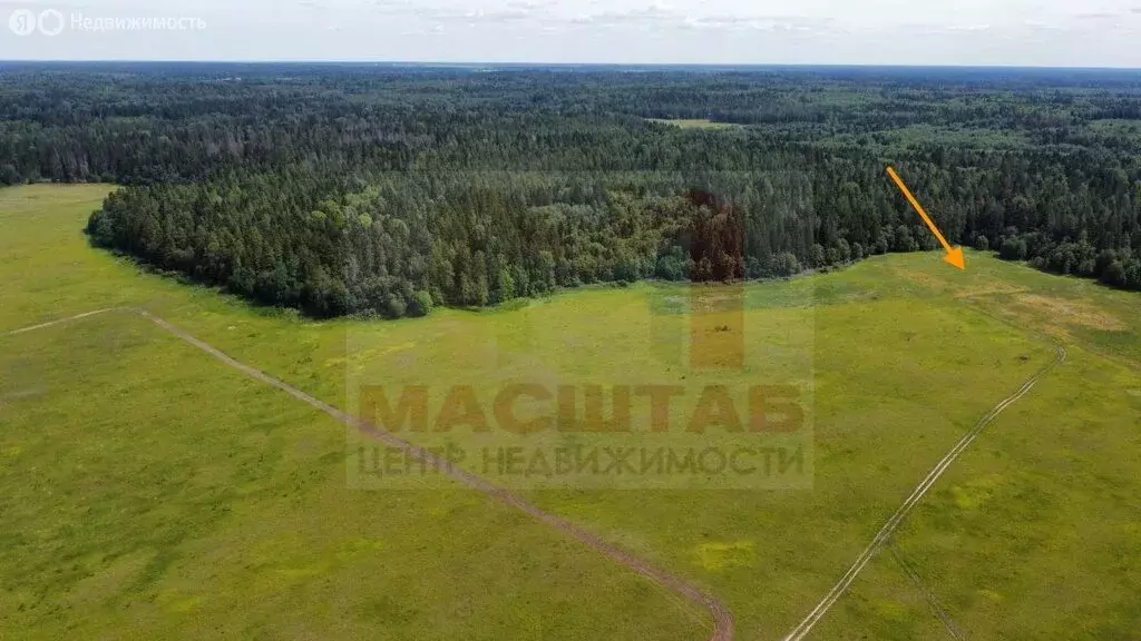 Участок в Клопицкое сельское поселение, деревня Курголово (482.53 м) - Фото 2