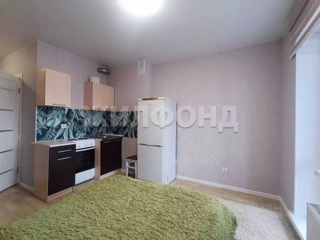 Студия Новосибирская область, Новосибирский район, Станционный ... - Фото 1