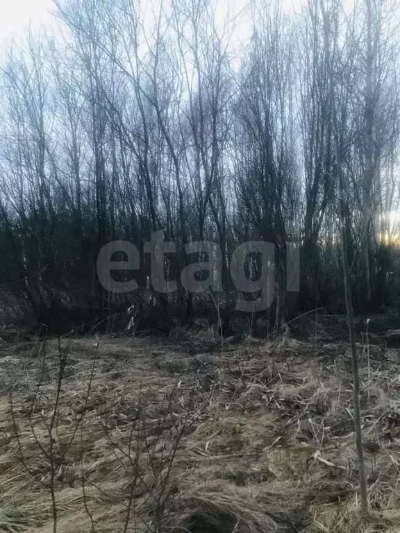 Участок в Вологодская область, Вологда Меркурий садоводческое ... - Фото 1