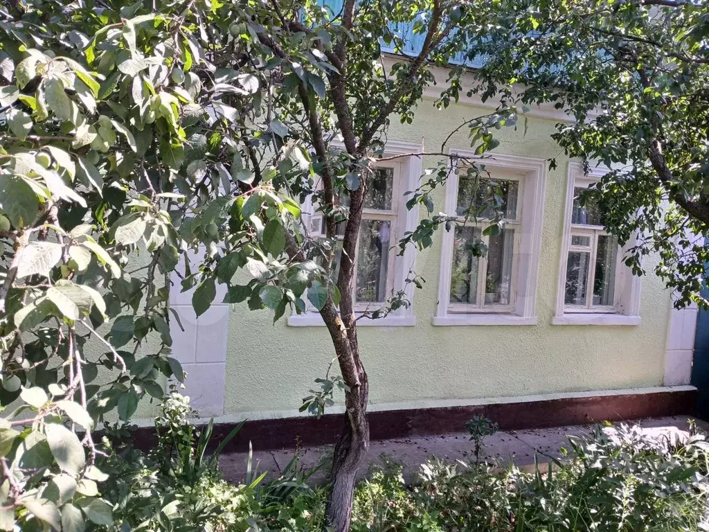 Дом 41 м на участке 6 сот. - Фото 1