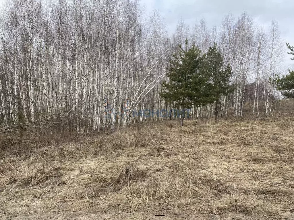 Участок в Нижегородская область, Нижний Новгород с. Елховка, ул. ... - Фото 1
