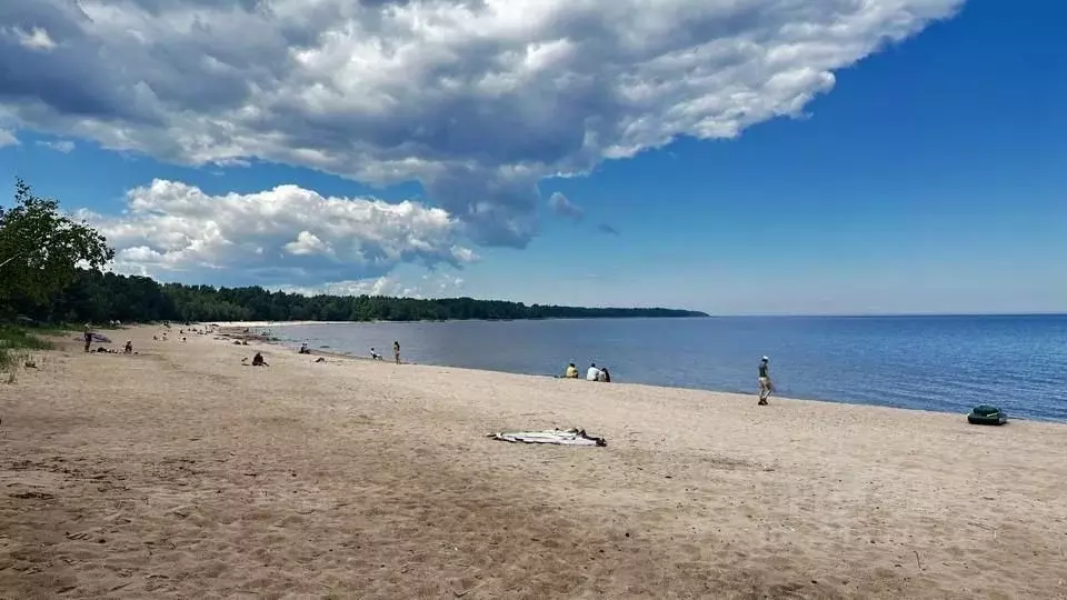 Участок в Ленинградская область, Всеволожский район, Рахьинское ... - Фото 1