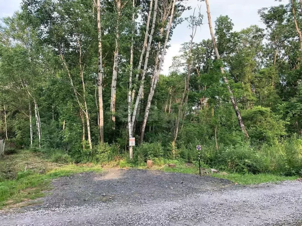 Участок в Хабаровский край, Хабаровский район, с. Корсаково-2, Лесовод ... - Фото 1