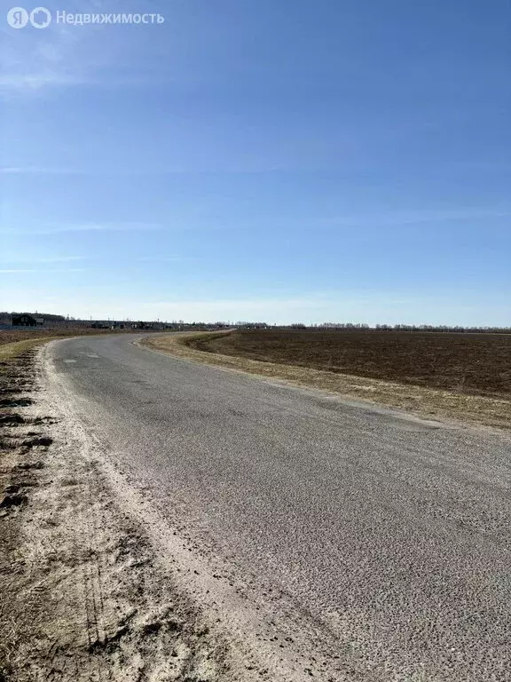 Участок в Медведевский район, Азяковское сельское поселение, деревня ... - Фото 2