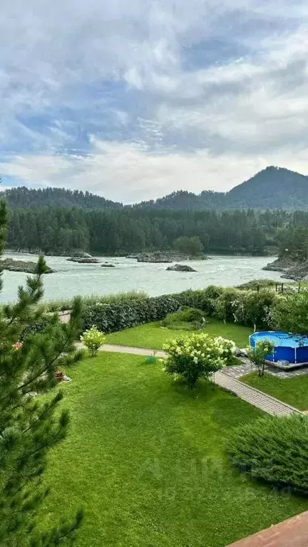 Дом в Алтай, Майминский район, с. Манжерок Береговая ул., 12 (95 м) - Фото 2