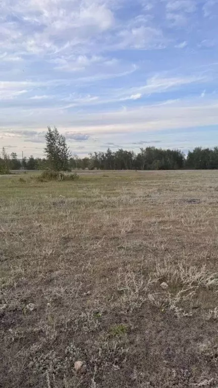 Участок в Саха (Якутия), Якутск ш. Покровское (10.0 сот.) - Фото 0