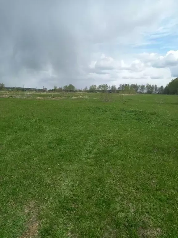 Участок в Московская область, Кашира городской округ Р-22 Каспий, ... - Фото 1