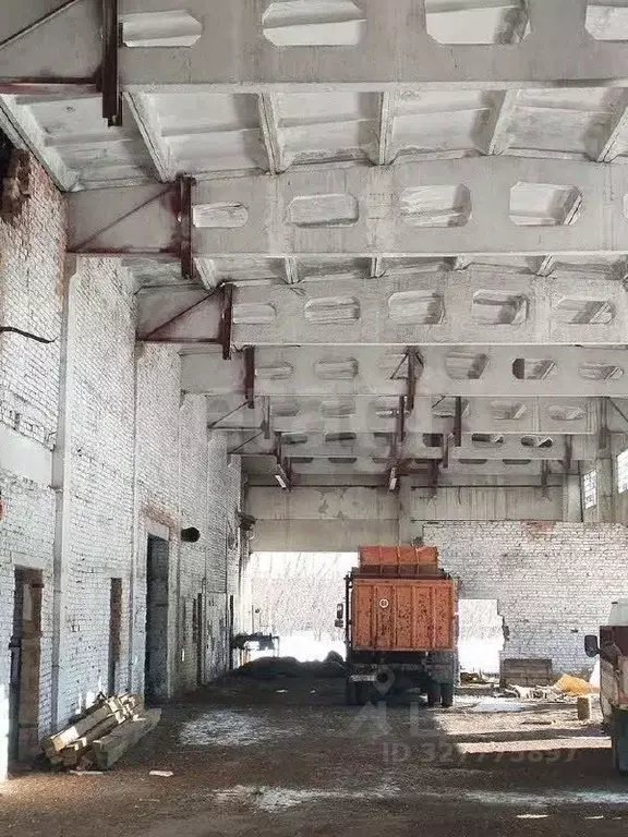 Помещение свободного назначения в Алтайский край, Красногорский район, ... - Фото 1