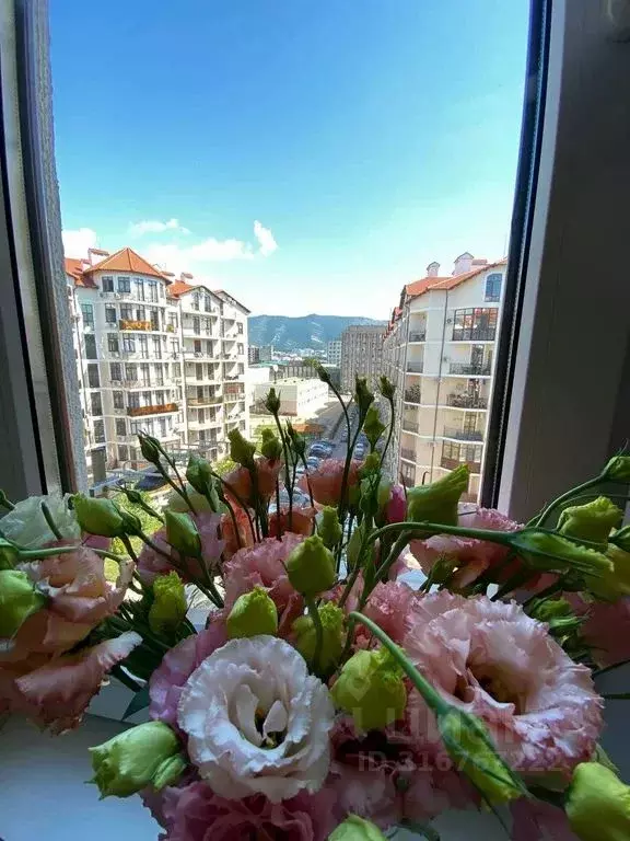 Студия Краснодарский край, Геленджик Крымская ул., 22к2 (31.0 м) - Фото 1