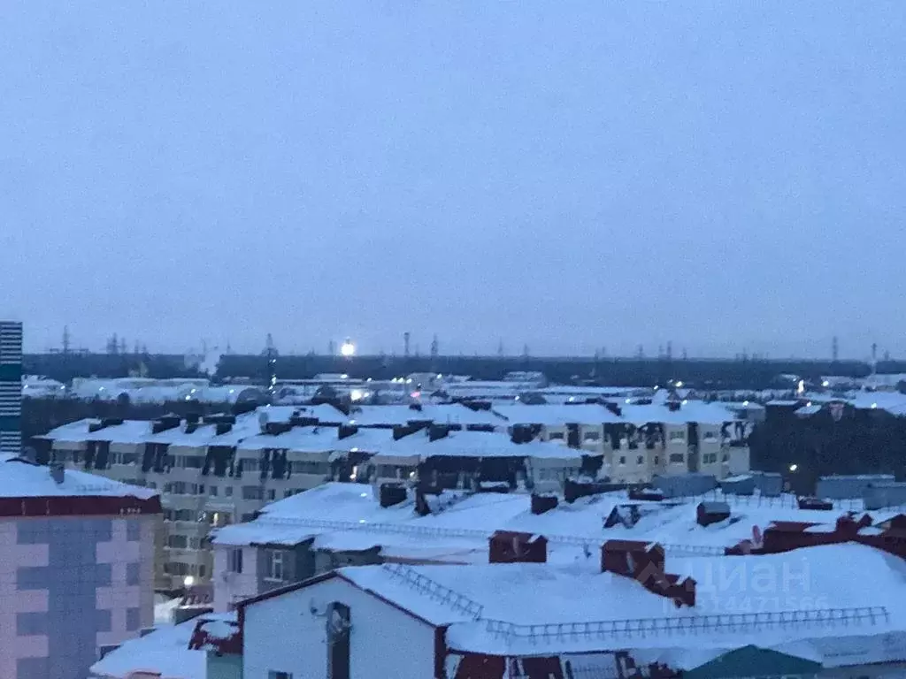 2-к кв. Ямало-Ненецкий АО, Губкинский 9-й мкр, 9 (38.0 м) - Фото 1