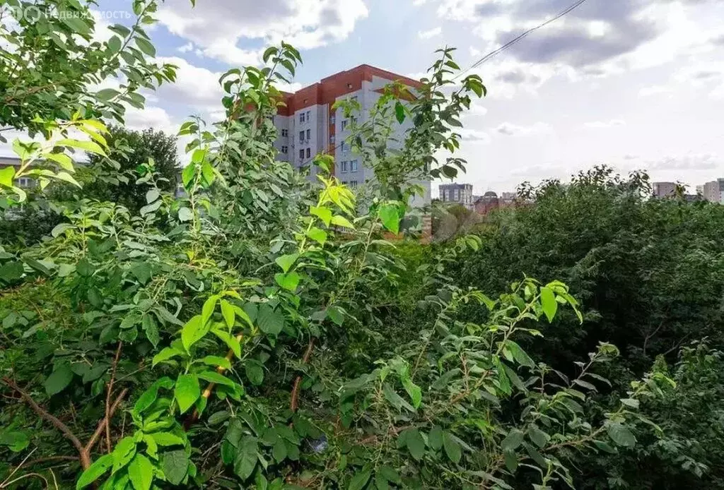 Квартира-студия: Тюмень, Полевая улица, 12А (68 м) - Фото 1