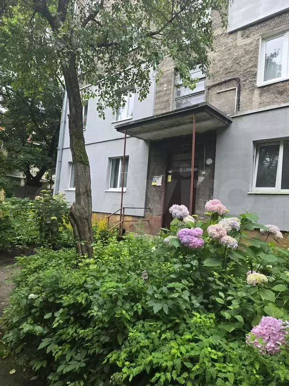 1-к. квартира, 31,8 м, 1/5 эт. - Фото 1