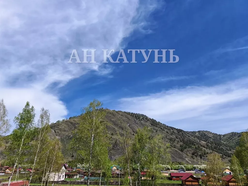 Участок в Алтай, Чемальский район, с. Анос ул. Чорос-Гуркина, 42 (10.0 ... - Фото 1